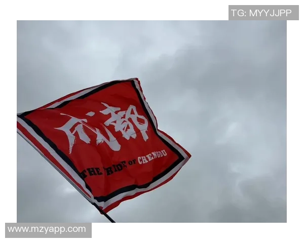 成都足球队意识争议引发热议球迷观点碰撞激烈讨论持续升温